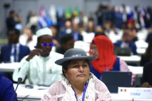 A delegate at the 11th IPU Global Conference of Young MPs, © Congress of the Republic