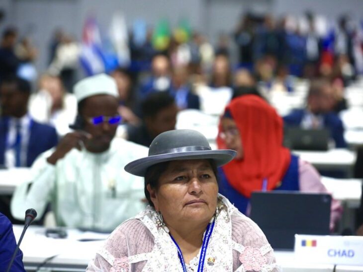 A delegate at the 11th IPU Global Conference of Young MPs, © Congress of the Republic