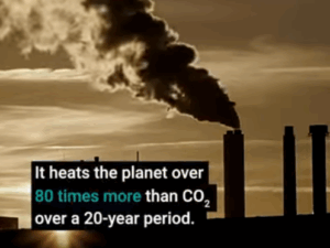 Watch this short explainer video produced with the support of the Global Methane Hub.