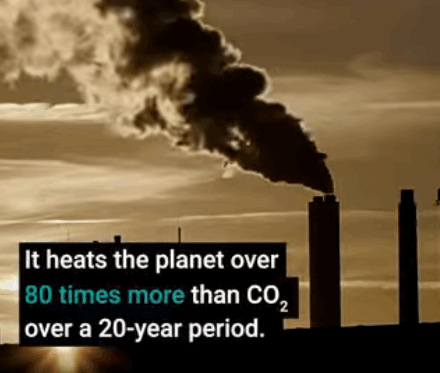 Watch this short explainer video produced with the support of the Global Methane Hub.