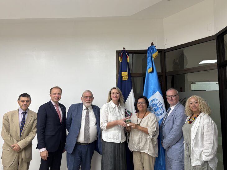 UK Delegation meets the UN Resident Coordinator
