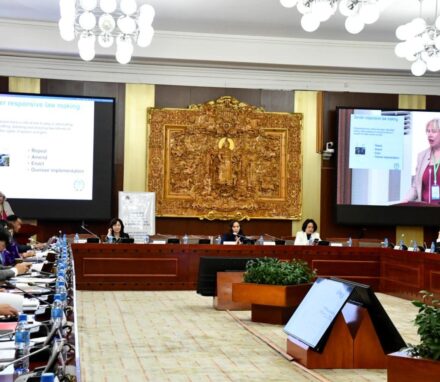 An IPU workshop on gender equality in the Parliament of Mongolia.© Parliament of Mongolia