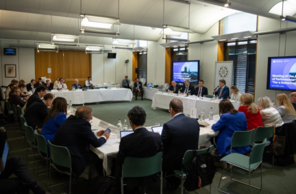 The meeting brought together representatives of 9 national parliaments, the European Parliament and PACE, as well as speakers from the Belarusian democratic forces.